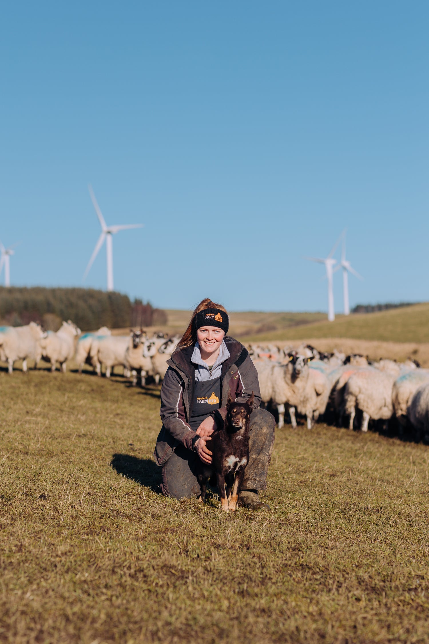 Me, kneeling in front of the sheep, with turbines in the distance, along with Roxy