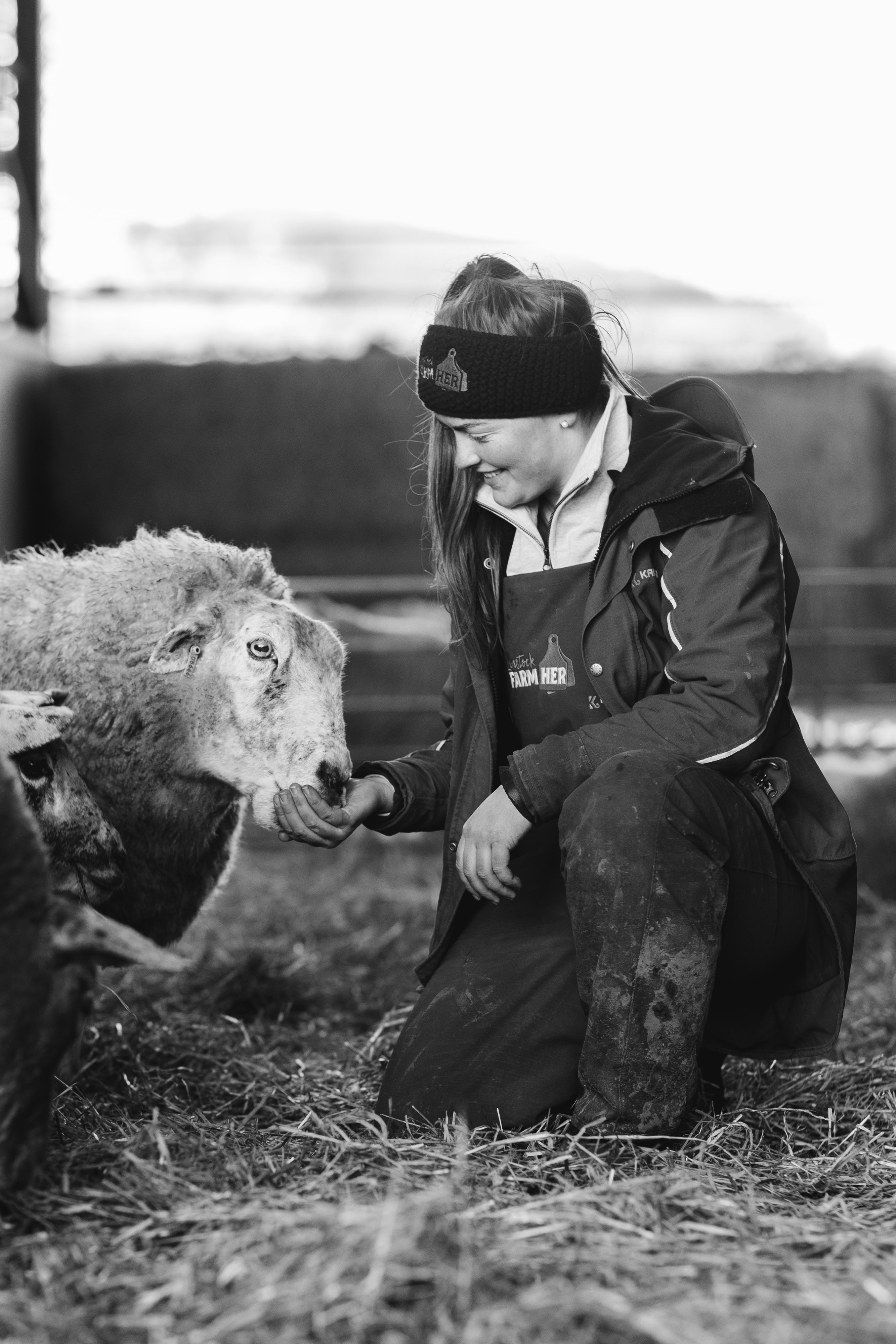 Me feeding legs, my first and favourite sheep